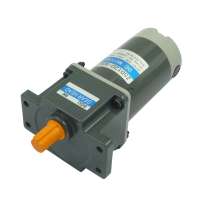 120W 20N- M High Power High Torque DC Electric gear Motor